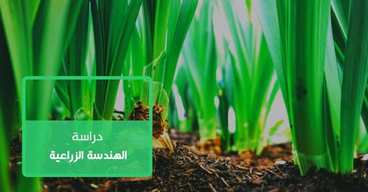 استشارات طبية